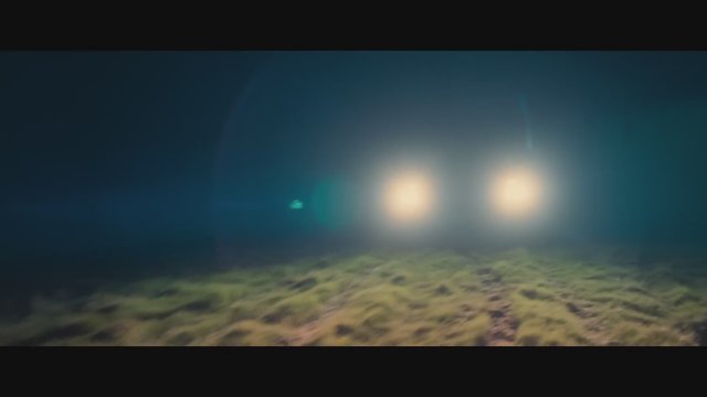 Bring Them Down (2024) Fragman