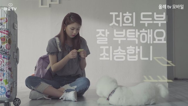 Tofu Personified (2018) - Fragman