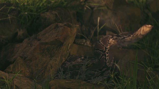 Broken Trail (2025) Fragman