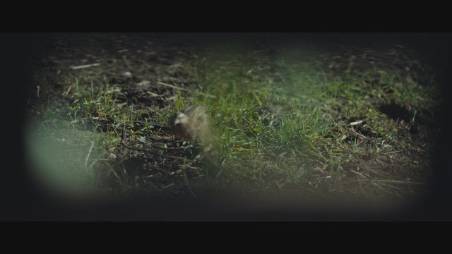 Per amore di una donna (2025) Fragman