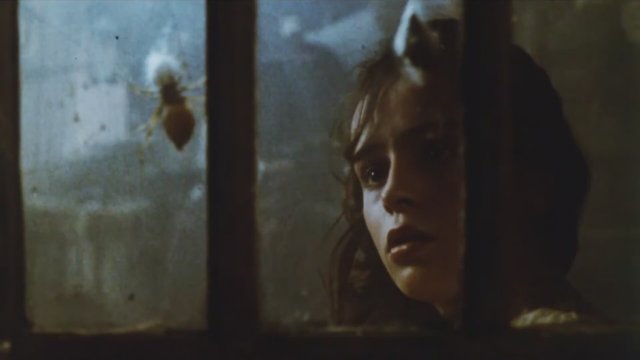 Kurtlar Sofrası (1984) Fragman