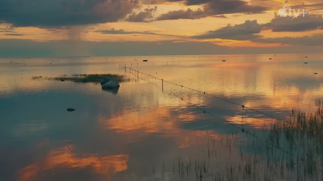 Long Way Home (2025) Fragman