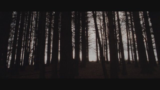 Tornado (2025) Fragman