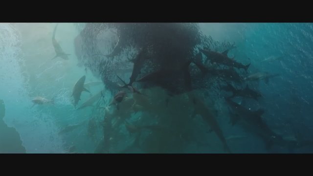 Ocean with David Attenborough (2025) Fragman