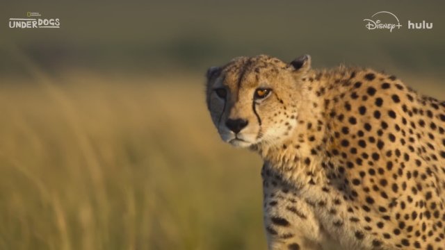 Ötekiler (2025) Fragman