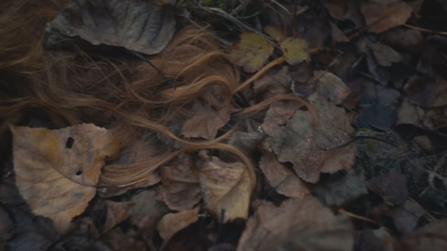 Trifole (2024) Fragman