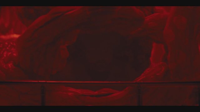 Kombucha (2025) Fragman