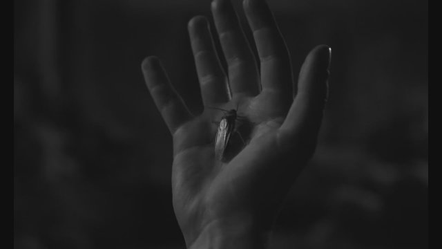 The Stranger (2025) Fragman