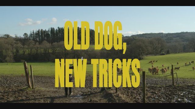 Animal (2025) Fragman