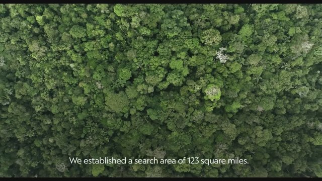 Lost in the Jungle (2025) Fragman