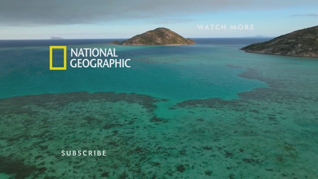 Dolphins Up Close with Bertie Gregory (2025) Fragman