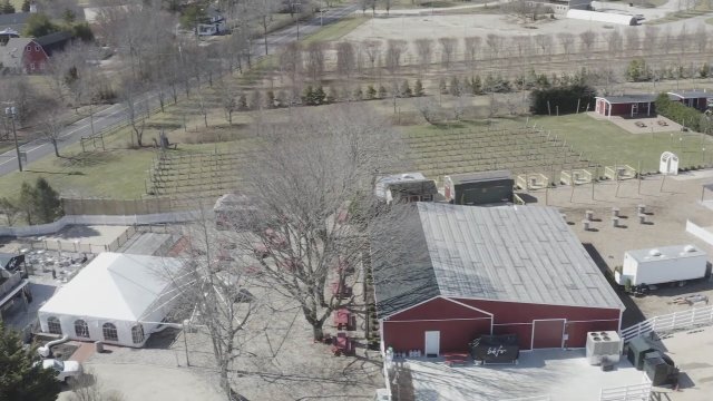 Royal Runaways (2025) Fragman