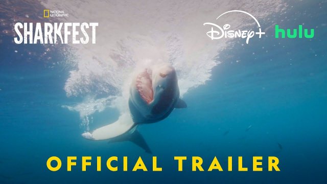  Sharkfest (2025) Fragman