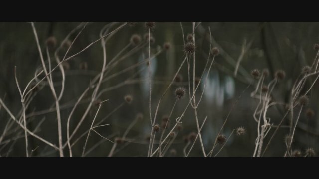 Günah (2026) İlk Bakış