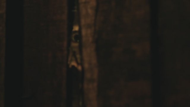 Alas Roban (2026) Fragman