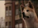 Hachiko: A Dog\'s Tale Fragman