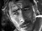 Rashomon