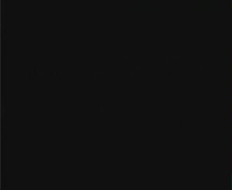 Kaplumbağalar Da Uçar