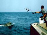 Jaws 2