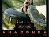 Anaconda