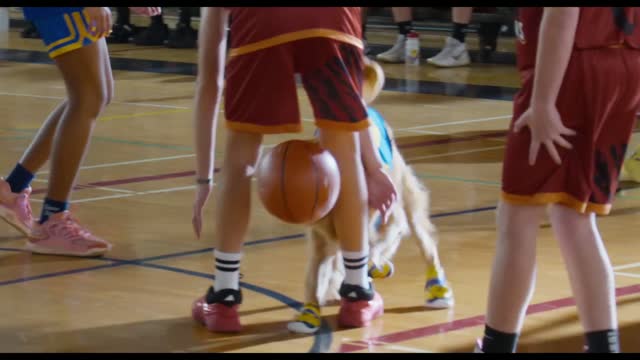 Air Bud Returns (2026) Fragman