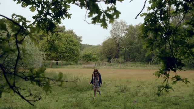 Detectorists (2014) 1.Sezon Fragman