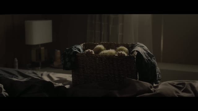 Uzun Kuyruk Marsupilami (2026) Fragman