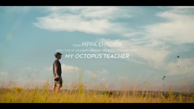 Pangolin: Kulu's Journey (2025) Fragman