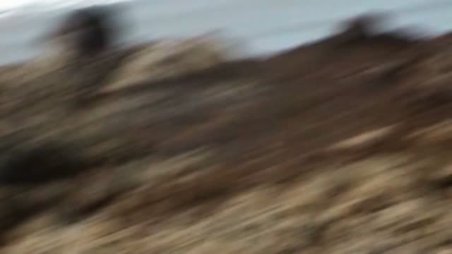 Tsunami: Race Against Time (2024) Fragman