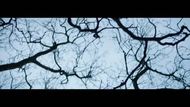 The Place of No Words (2019) Fragman