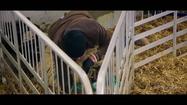 Clarkson'ın Çiftliği Tanıtım Fragmanı (Clarkson's Farm Official Trailer)