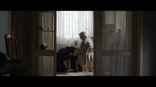 Kesilmiş Bir Ağaç Gibi (2025) Fragman