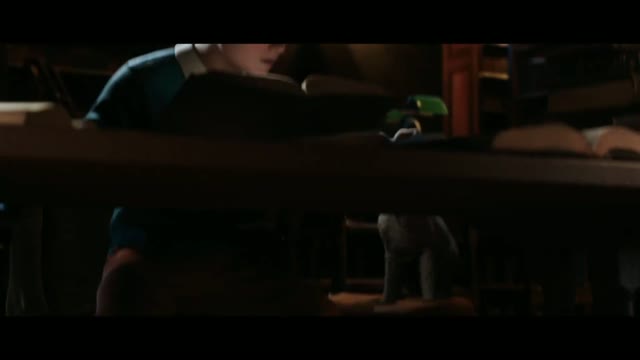 Tenten'in Maceraları - Fragman (2011)