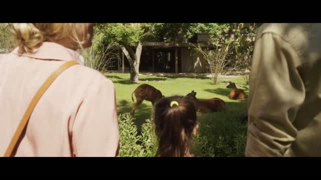 My Zoe (2019) Fragman