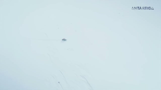 Antarctic (2026) Fragman