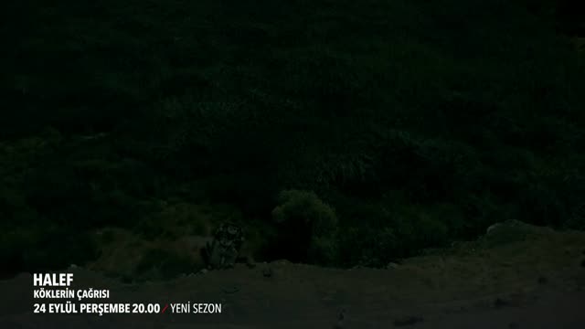 Halef: Köklerin Çağrısı - 36. Bölüm 2. Fragmanı (2026)