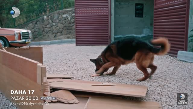 Daha 17 - 20. Bölüm 1. Fragmanı (2026)