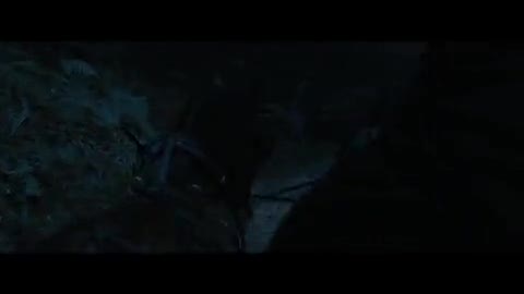 Robin Hood Kısa Klip 2