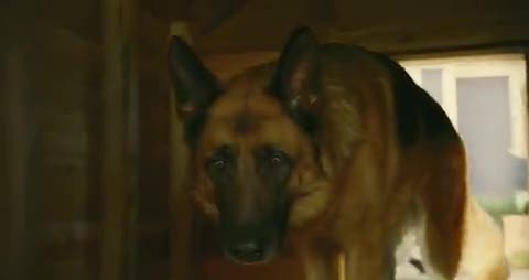 Kediler Ve Köpekler:Kitty Galore’un Intikamı,