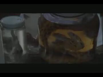 Ridgemont Lisesinde Hızlı Günler