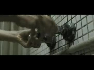 Ölüm Peşimizde Fragman