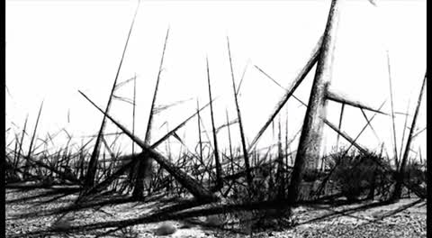 Into Eternity Fragman