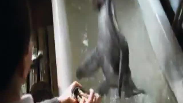 The Water Horse: Legend Of The Deep Fragmanı