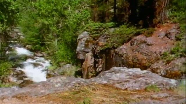 Beethoven\'s 2nd Fragmanı