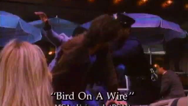 Bird On A Wire Fragmanı