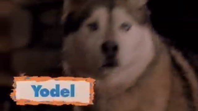 Snow Dogs Fragmanı