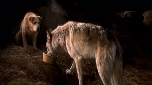 Dr. Dolittle 2 Fragmanı