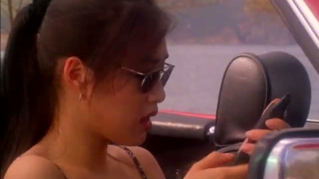 Zhong Nan Hai Bao Biao (the Bodyguard From Beijing) Fragmanı