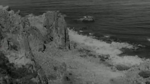 Det sjunde inseglet / The Seventh Seal Fragmanı