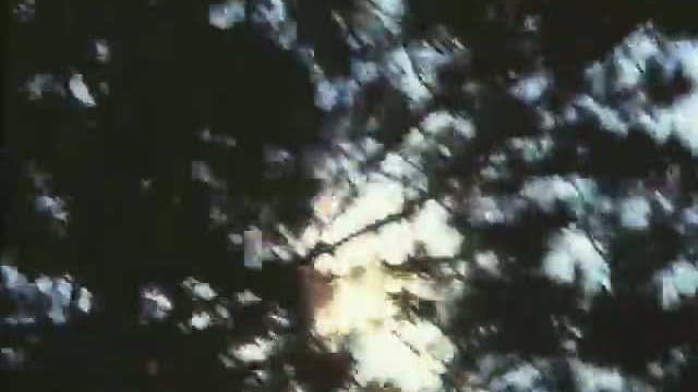 Easy Rider Fragmanı